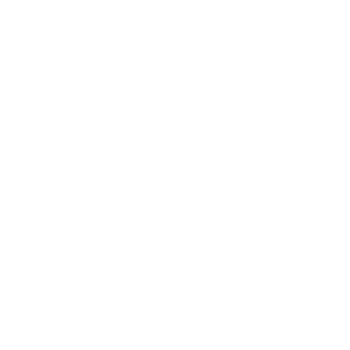 Vizija